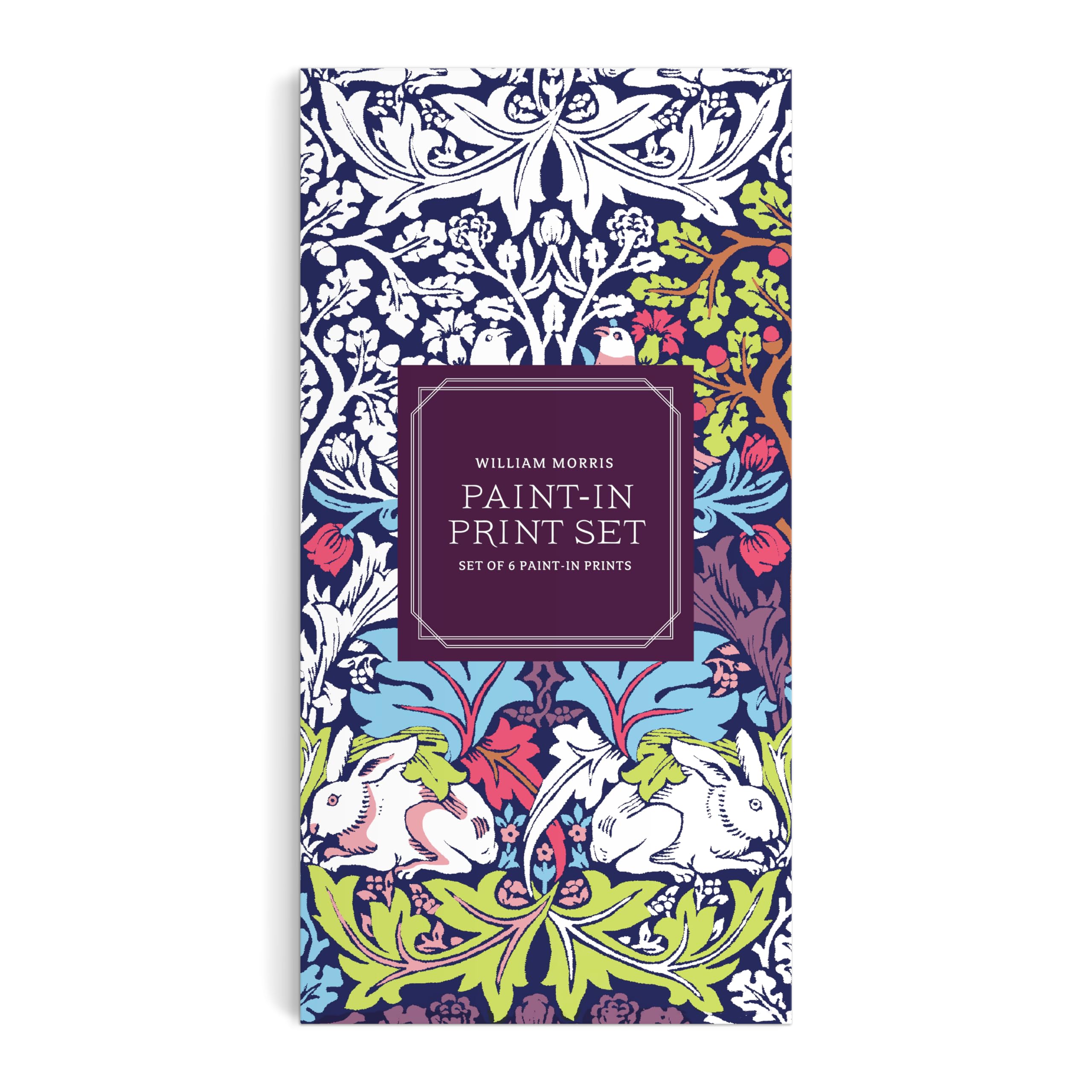 Amazon.com: William Morris Paint-In Postcard Set: 9780735383234